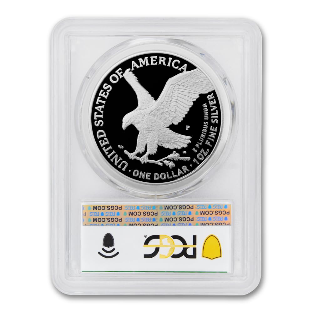 1 oz American Silver Eagle Coin R8594